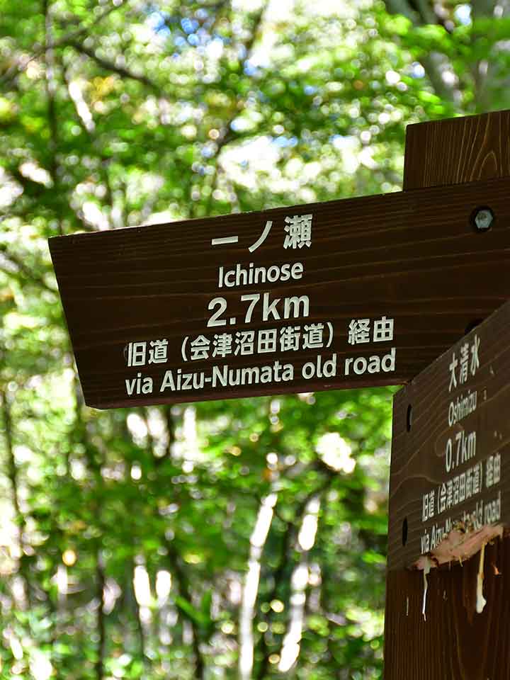 会津沼田街道の森の様子