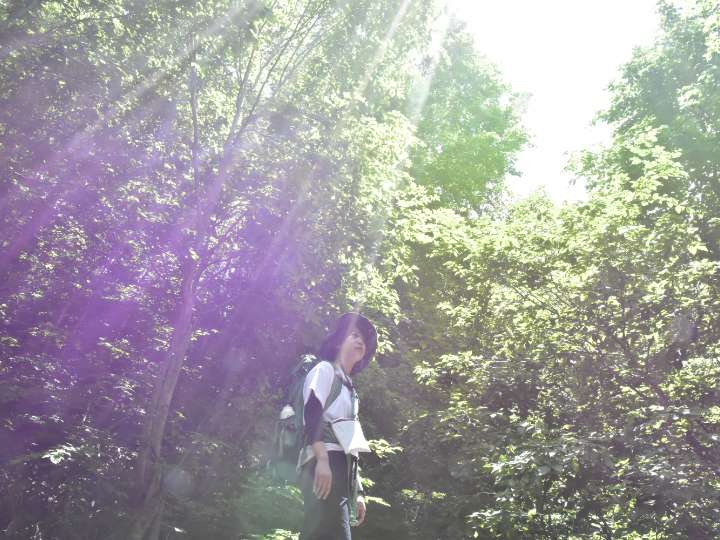 街道の風景