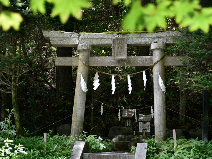 街道の風景