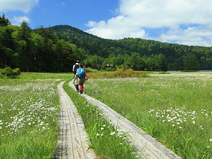 街道の風景