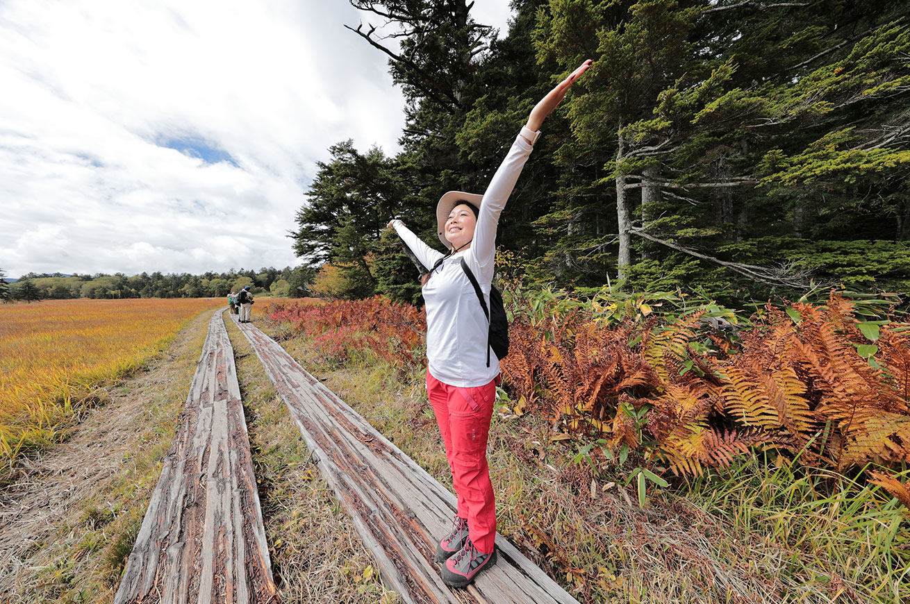 The marshland glows golden with the colors of autumn leaves.