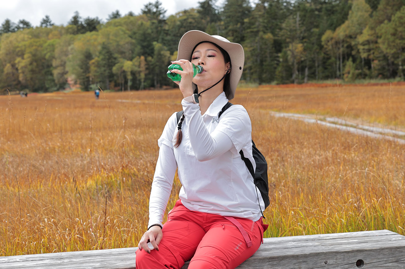 The marshland glows golden with the colors of autumn leaves.