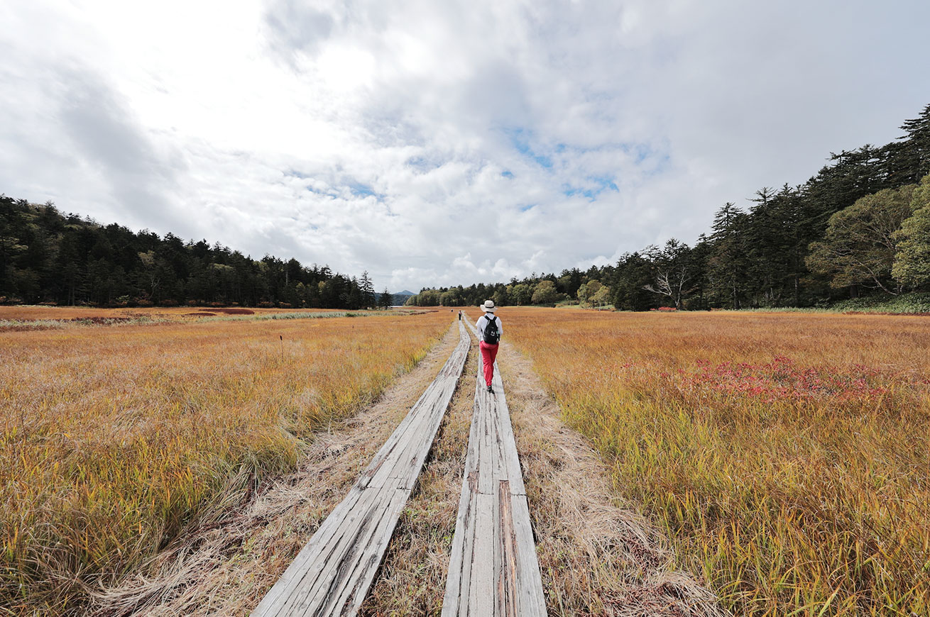 Wooden Boardwalks born from Oze’s hard-earned lessons