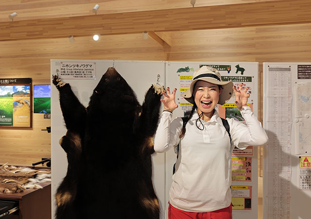 At the Visitor Center, you can learn about the geological history and unique ecosystem of the Oze area.