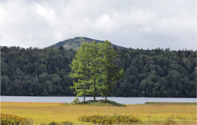 Regarding the Use of Oze National Park img03