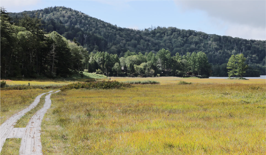 Start Trekking img02